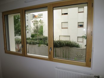 ApptTemoinFenetre2.JPG (151.85 Kio) Vu 2082 fois ApptTemoinFenetre2.JPG